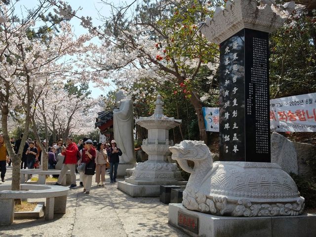 釜山櫻花季滿滿幸褔的海邊廟宇~海東龍宮寺