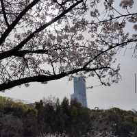 天王寺動物園（Tennoji Zoo） 