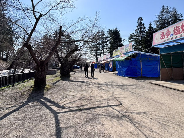 【青森県】4月上旬桜、、、咲く前