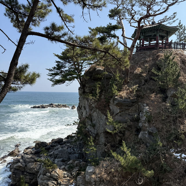 눈 내린 3월의 낙산사, 설악산과 바다를 품은 고요한 사찰