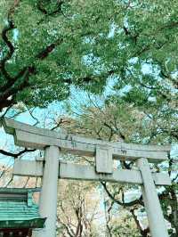 福岡｜住吉神社｜拍照打卡好去處