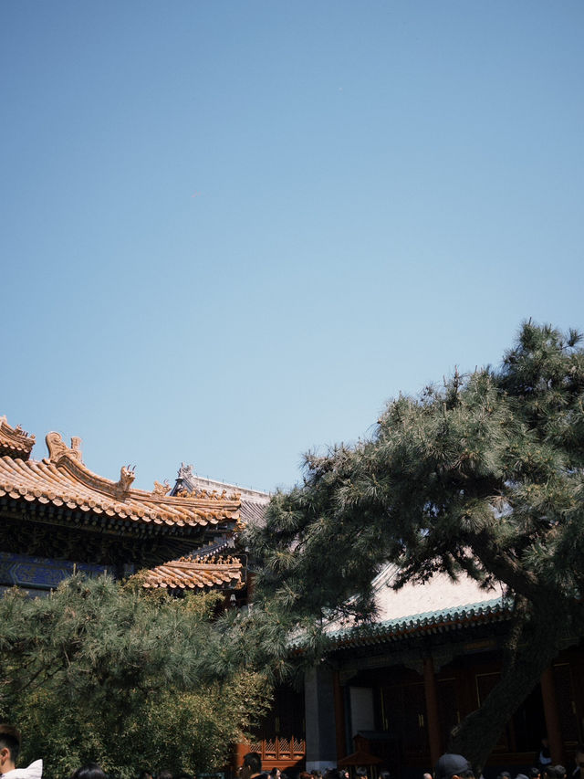 北京雍和宮：探索歷史與文化的藏傳佛教聖地💭📖