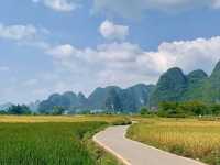 Guilin’s greenery