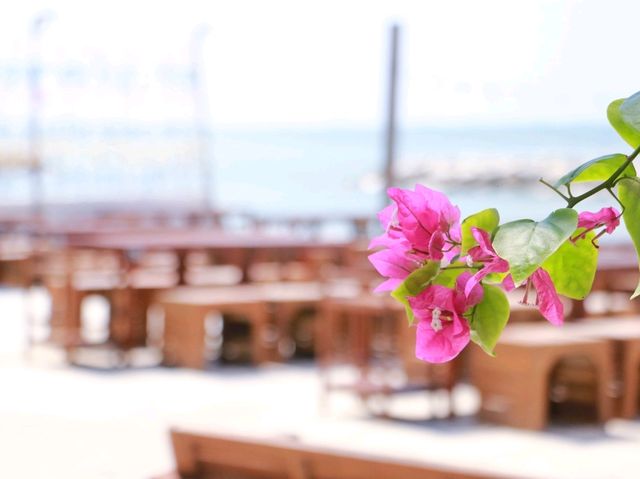 มาทะเล Mar Sea กัน