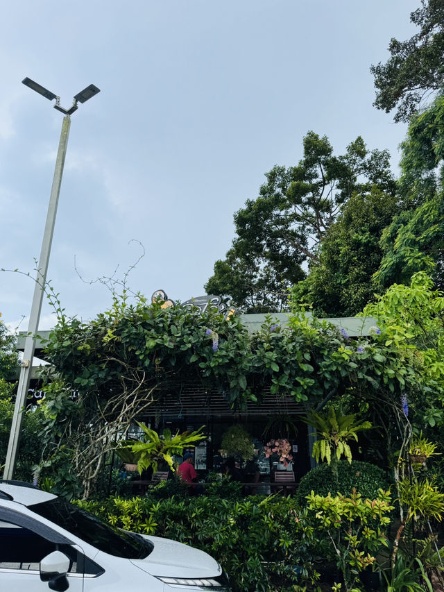แวะพัก เติมพลังที่ Cafe Amazon สี่แยกเอเชีย พัทลุง