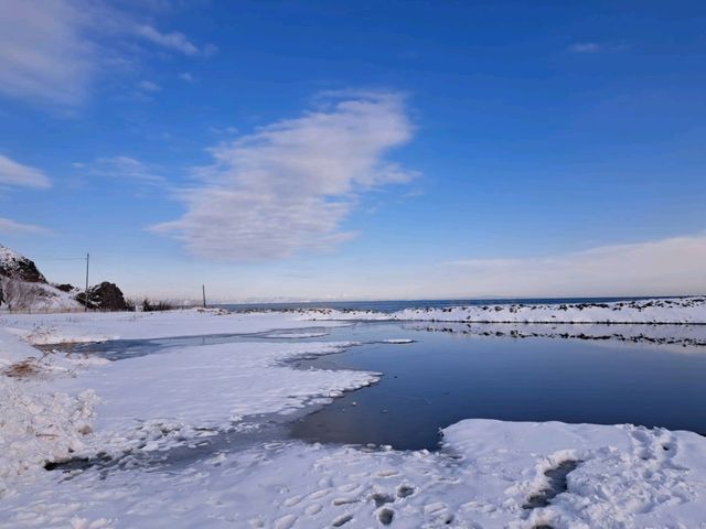 北海道旅遊🥳超高質民宿青塚食堂😍必食新鮮刺身海膽😚燒魚燒帆立貝超好味😍