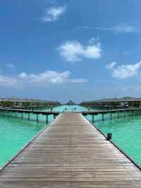Waves of Joy: Feeling Alive in the Maldives