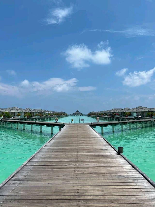 Waves of Joy: Feeling Alive in the Maldives