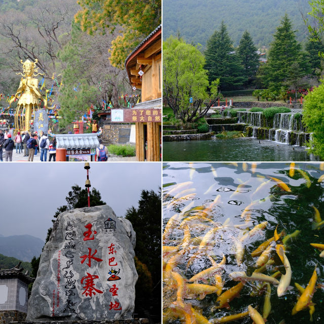 One Day Trip ที่ลี่เจียง