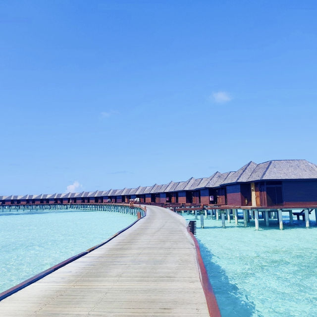 A Luxurious Stay at Sun Siyam Olhuveli