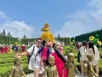 My Da Nang, Vietnam Adventure