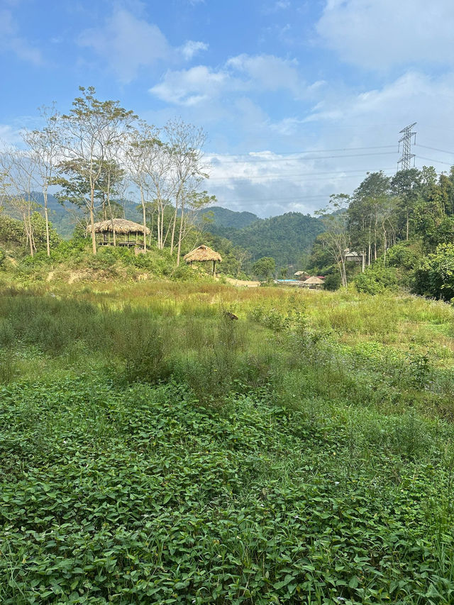 A Hidden Oasis