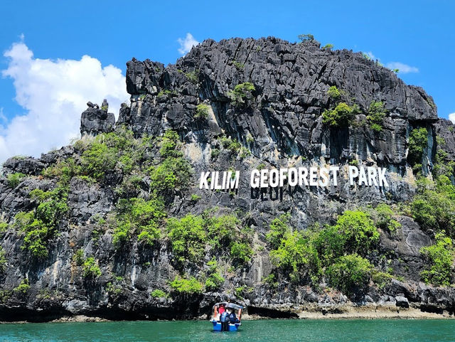 Kilim Karst Geoforest Park – Langkawi’s Mangrove Paradise** 🌿🦅