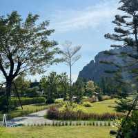 IKO Camp & Cafe