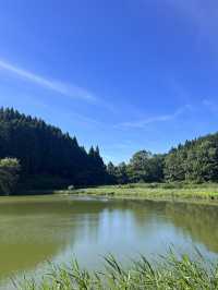 【奈良】穴場自然スポット！龍王ヶ渕🌳