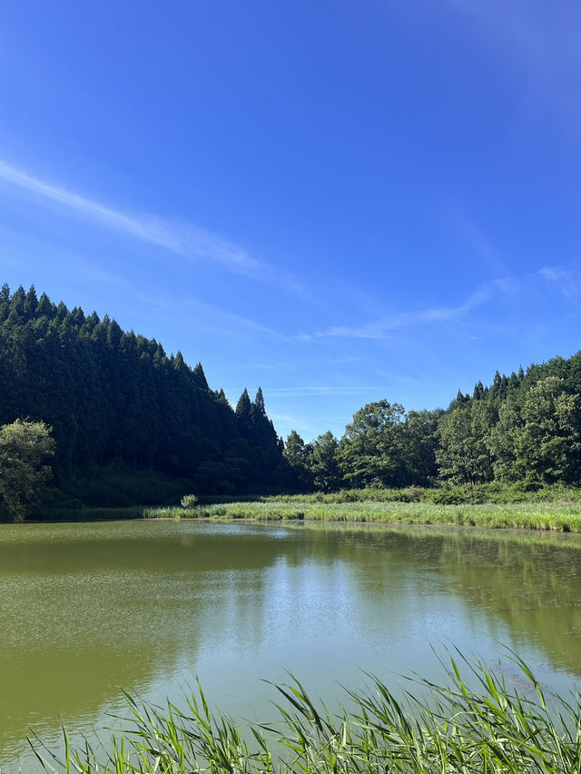 【奈良】穴場自然スポット！龍王ヶ渕🌳
