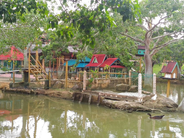 ✨ Kota Tinggi Firefly Valley: A Solo Traveller’s Dazzling Night Escape