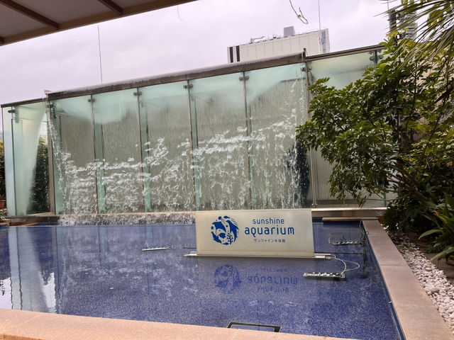 空飛ぶアシカ！？サンシャイン水族館@池袋🦭