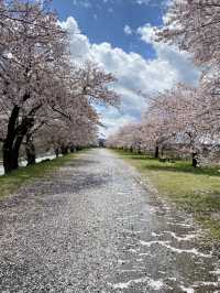 The spring quarter 