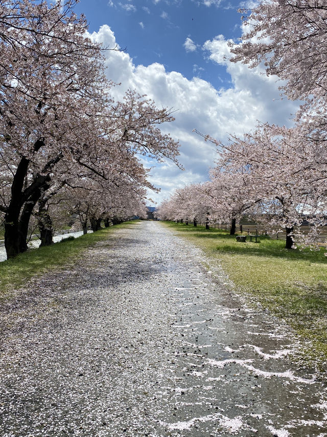 The spring quarter 