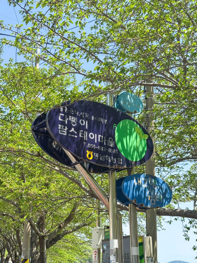 남해 여행 필수코스 “다랭이마을”💛