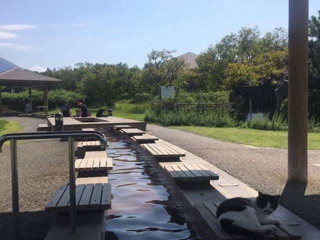 鹿兒島-仙巖園～眺望櫻島的絕佳地點