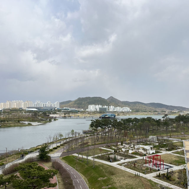 탁 트인 공간에서 바라보는 세종호수공원의 모습🏞️