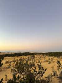 澳洲尖峰石陣：地球上的外星奇景！🌌🪨**  