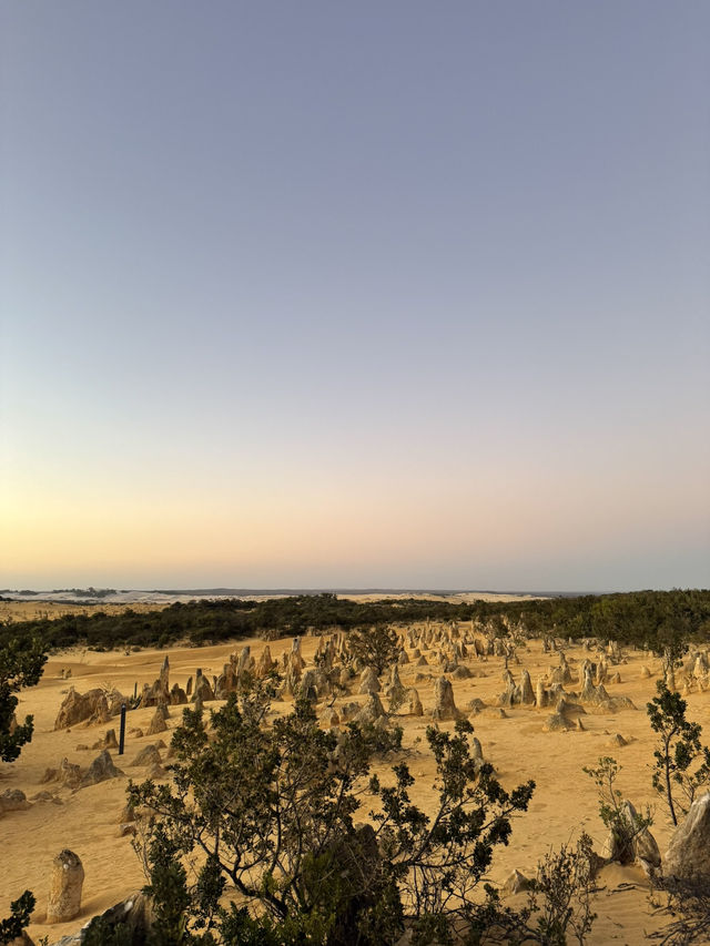 澳洲尖峰石陣：地球上的外星奇景！🌌🪨**  