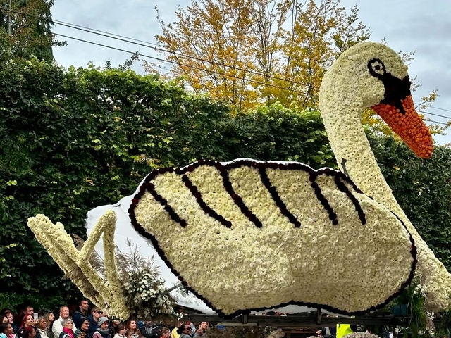A Toast to Tradition: My Experience at the Neuchâtel Grape Harvest Festival