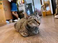 Piti Home Cafe & Eatery Ranong