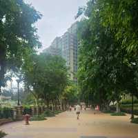 處處都是青馬大橋的美景