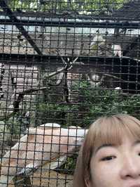 好玩程度破表！曼谷 Safari World 是我心中 No.1 的動物園