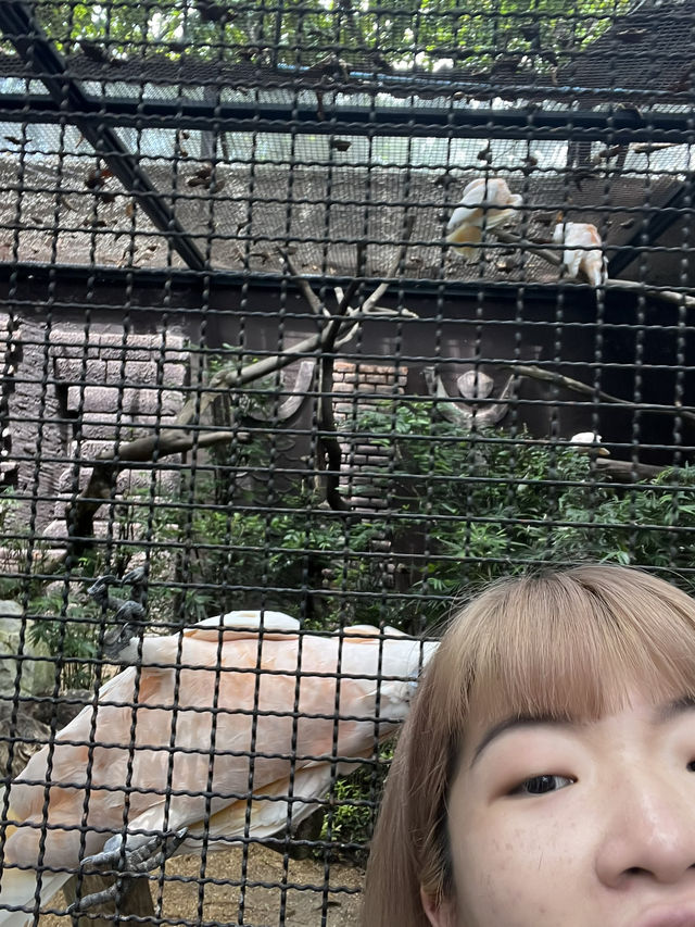 好玩程度破表！曼谷 Safari World 是我心中 No.1 的動物園