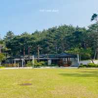 양양 드라이브 1일 여행코스