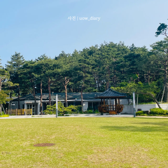 양양 드라이브 1일 여행코스