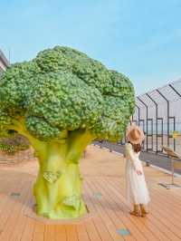 【兵庫】ブロッコリーの木の下で🥦💚