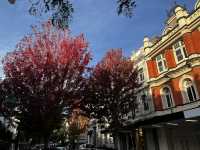 Discover the beauty of Launceston Tasmania 