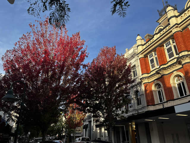 Discover the beauty of Launceston Tasmania 