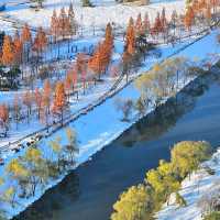 Ansan Lake Park (Ansan)