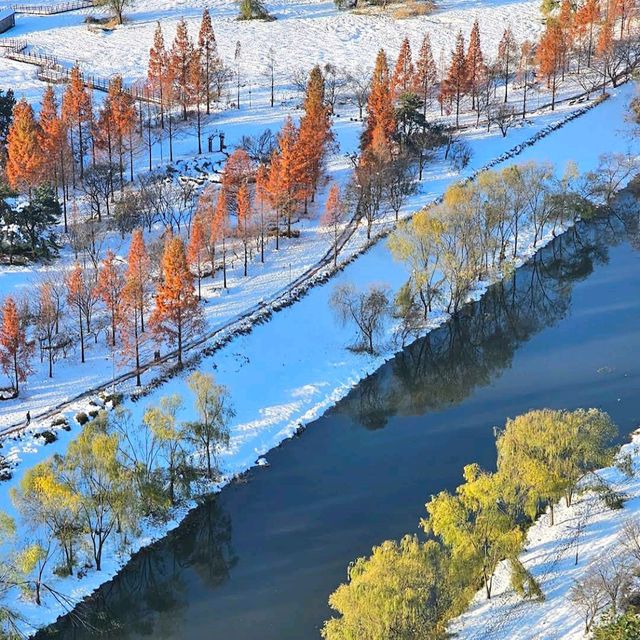 Ansan Lake Park (Ansan)