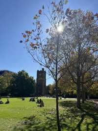 Pretty autumn in Parkville! 