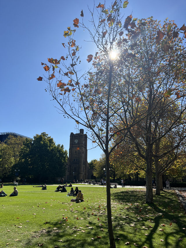 Pretty autumn in Parkville! 