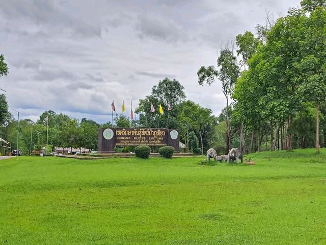 เขตรักษาพันธุ์สัตว์ป่าภูเขียว