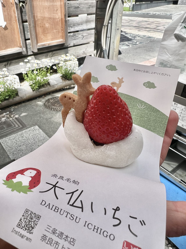 奈良に行くべき五つの理由🇯🇵✈️🌎