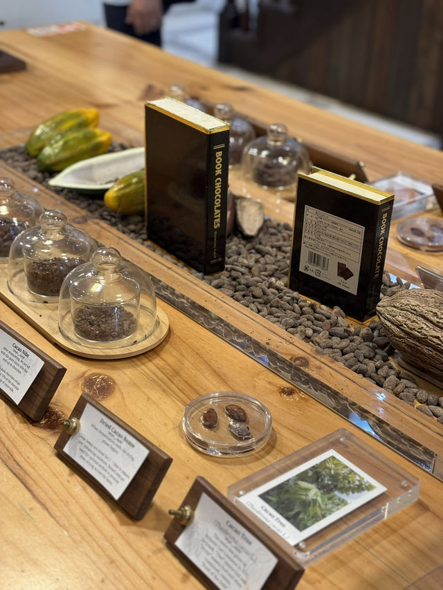 beryl's chocolate ร้านช็อกโกแล็ต 