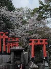 Fushimi Inari Taisha, Kyoto, Japan 🇯🇵 