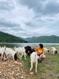 นอนโดมริมน้ำใกล้เขา ใกล้ชิดธรรมชาติที่ลำตะเพิน 