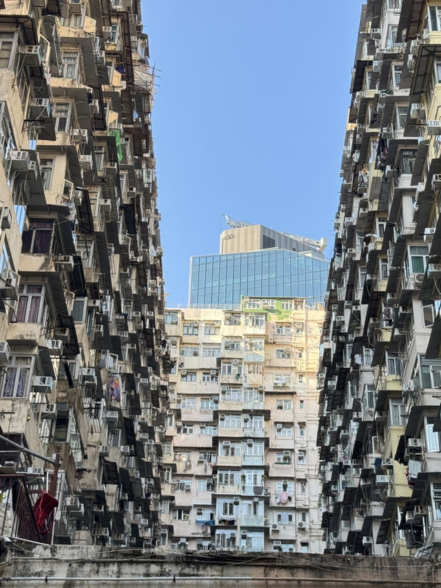 홍콩 익청빌딩🌇 홍콩 익청빌딩🌇
