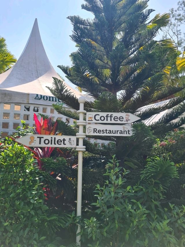 Dome cafe